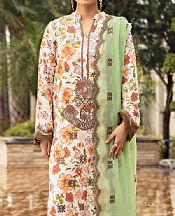 Multi Karandi Suit