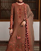 Bear Brown Karandi Suit
