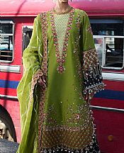Hussain Rehar Green Lawn Suit- Pakistani Designer Lawn Suits