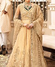 Imrozia Sand Gold/Tan Net Suit- Pakistani Chiffon Dress