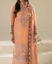 Peach Chiffon Suit