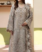 Beige Organza Suit