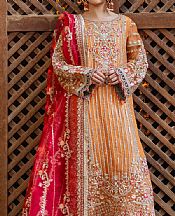 Imrozia Cadmium Orange Organza Suit- Pakistani Chiffon Dress