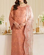Peach Chiffon Suit