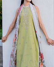 Izel Olive Green Lawn Suit- Pakistani Designer Lawn Suits
