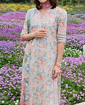 Izel Ash Grey Lawn Suit- Pakistani Lawn Dress
