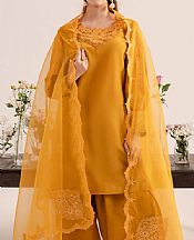 Izel Orange Raw Silk Suit- Pakistani Designer Chiffon Suit