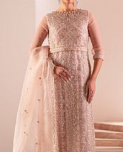 Pink Organza Suit