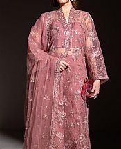 Pink Organza Suit