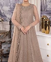 Iznik Sandrift Net Suit- Pakistani Chiffon Dress