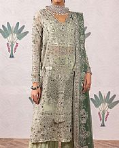 Iznik Pistachio Chiffon Suit- Pakistani Chiffon Dress