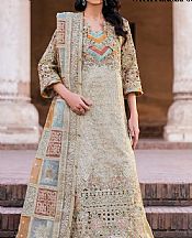 Pastel Grey Chiffon Suit