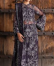 Purple Taupe Organza Suit