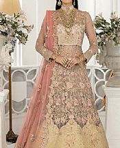 Light Golden/Pink Net Suit- Pakistani Designer Chiffon Suit