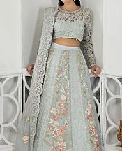 Light Grey Organza Suit- Pakistani Designer Chiffon Suit