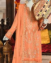 Peach Organza Suit