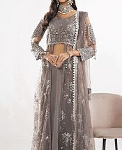 Khas Grey Net Suit- Pakistani Chiffon Dress