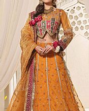Khas Cadmium Orange Organza Suit- Pakistani Designer Chiffon Suit