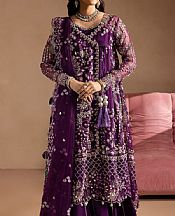 Egg Plant Organza Suit