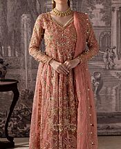 Pink Organza Suit