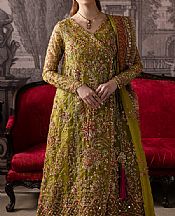 Olive Green Organza Suit