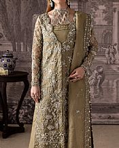 Dark Sand Organza Suit