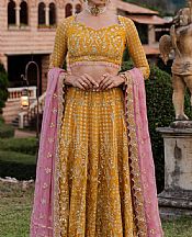 Marjjan Mustard Chiffon Suit- Pakistani Chiffon Dress