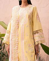 Marjjan Yellow Karandi Suit- Pakistani Winter Dress