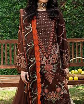 Marjjan Brown Karandi Suit- Pakistani Winter Dress