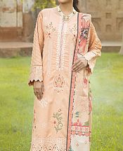 Light Peach Wool Suit- Pakistani Winter Dress
