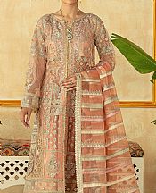 Maryam Hussain Peach Net Suit- Pakistani Chiffon Dress