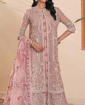 Oriental Pink Net Suit