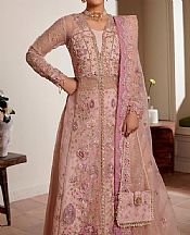Maryams Pink Organza Suit- Pakistani Designer Chiffon Suit