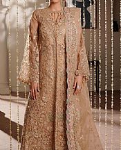 Maryams Fawn Organza Suit- Pakistani Chiffon Dress