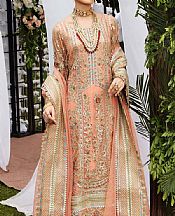 Peach Net Suit- Pakistani Chiffon Dress