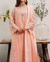 Dark Salmon Organza Suit