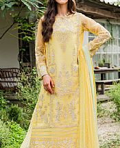 Light Yellow Organza Suit
