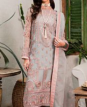 Silver Organza Suit