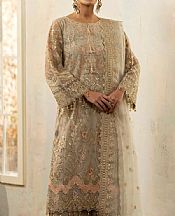 Mohagni Pale Oyster Net Suit- Pakistani Chiffon Dress