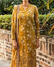 Motifz Mustard Cambric Suit- Pakistani Winter Clothing