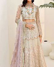 Off-white Net Suit- Pakistani Chiffon Dress