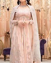 Motifz Light Peach Net Suit- Pakistani Designer Chiffon Suit