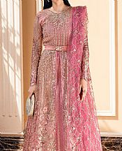 Pink Net Suit
