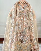 Mushq Fawn/Pink Net Suit- Pakistani Chiffon Dress