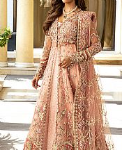 Mushq Peach Net Suit- Pakistani Chiffon Dress