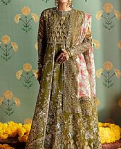 Olive Organza Suit