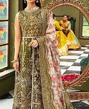 Nureh Olive Organza Suit- Pakistani Designer Chiffon Suit