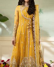 Qalamkar Mustard Organza Suit- Pakistani Designer Chiffon Suit