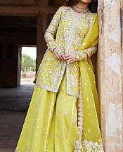 Qalamkar Lime Green Net Suit- Pakistani Chiffon Dress