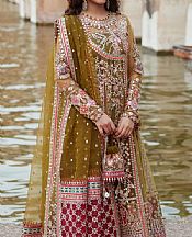 Qalamkar Lu__ Gold Net Suit- Pakistani Designer Chiffon Suit